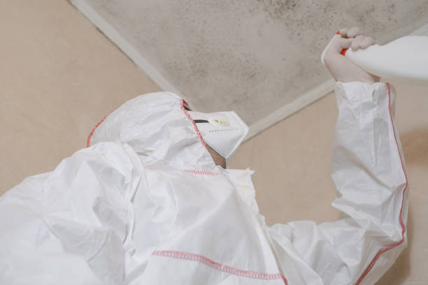 Best Emergency Mold Removal  in Green Forest, AR